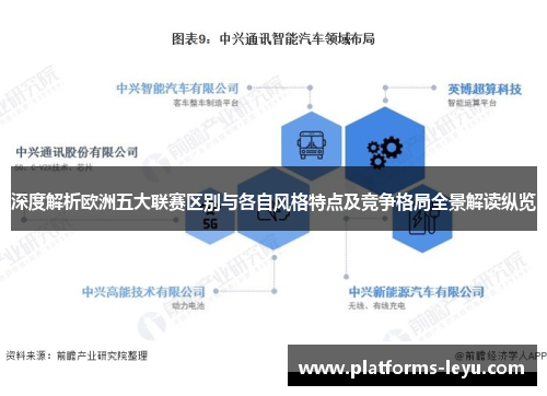 深度解析欧洲五大联赛区别与各自风格特点及竞争格局全景解读纵览
